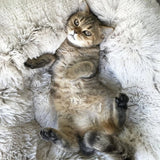 PAW COMFY CALMING™ PET BED