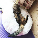 PAW COMFY CALMING™ PET BED